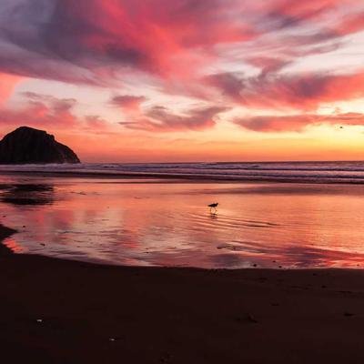 Rafaela Martins Barbosa